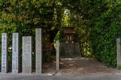 DSC04558
