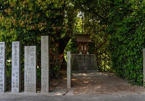 DSC04558