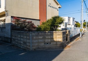SBJ05539