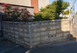 SBJ05549