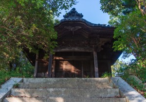 SBJ05478