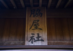 SBJ08590