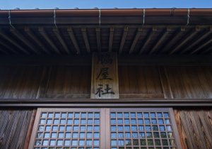 SBJ08591