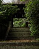 DSC09922