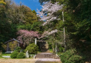 SBJ06198