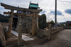 DSC07169