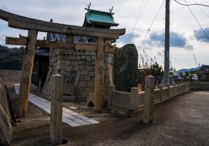 DSC07169
