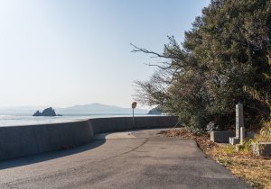 SBJ06365
