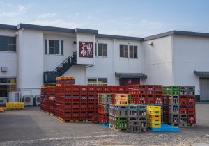 SBJ02212