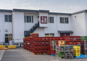 SBJ02213