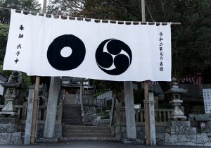 SBJ00455