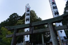 DSC00514