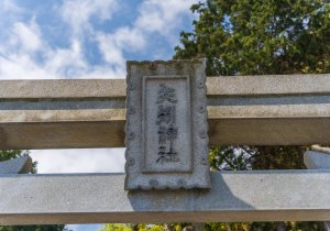SBJ09182