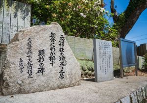 SBJ09187