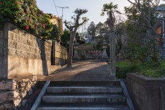 DSC01868
