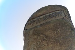 DSC01677