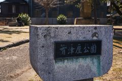 DSC01681