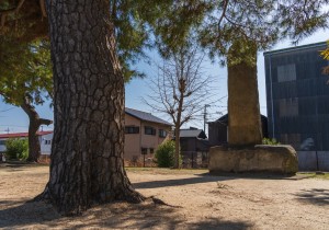 DSC01694
