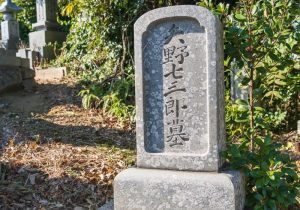 SBJ09658