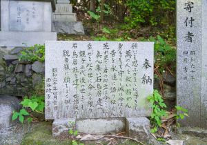 SBJ00315