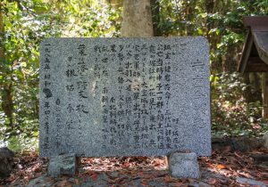 SBJ00323