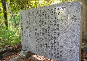 SBJ00337