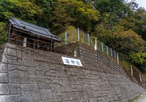 DSC02969