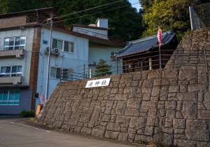 DSC03037