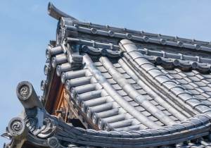 SBJ02465