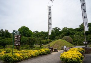 SBJ02065