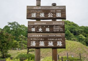 SBJ02067