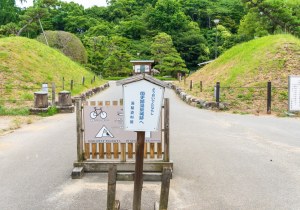 SBJ02069