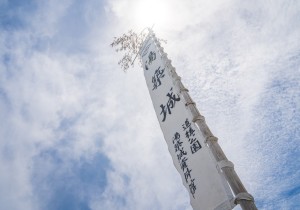 SBJ02126