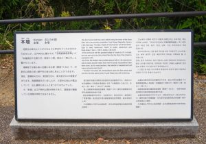 SBJ02146