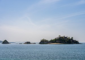 SBJ08430