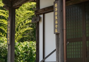 SBJ02884