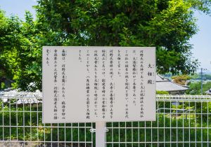 SBJ00079