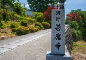 SBJ00103