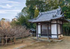 SBJ06035