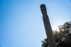 DSC07456