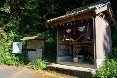 DSC07304