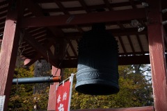 DSC01889