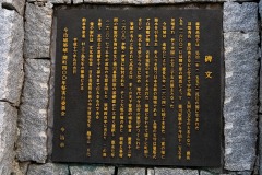 DSC03118
