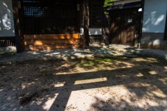 DSC09264