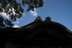 DSC09266