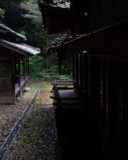DSC09950