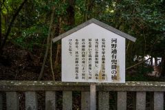 DSC09203