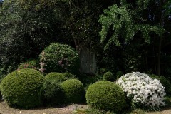 DSC09606