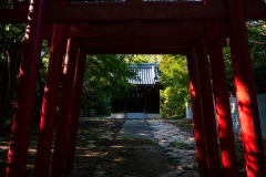 DSC00637
