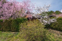 DSC02616